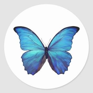 Meet your Posher, Lynn